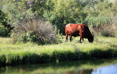 Similar image 328156