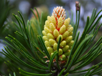 Similar image 328162