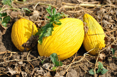 Similar image 328168