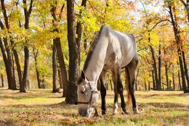 Similar image 328175