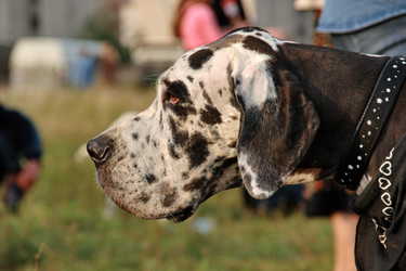 Similar image 328180