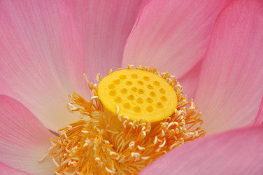 Similar image 328183