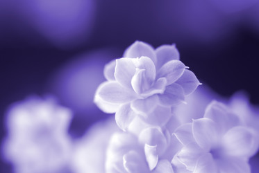 Similar image 328187