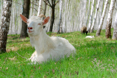 Similar image 328208