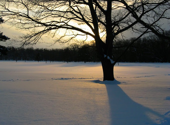 Similar image 328252