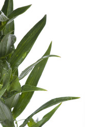 Similar image 328318