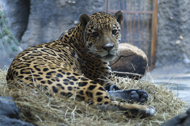 Similar image 328480