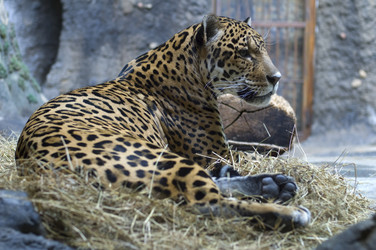 Similar image 328481