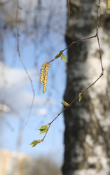 Similar image 328503