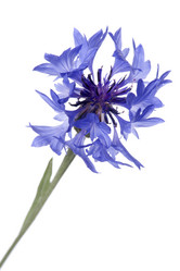 Similar image 328710