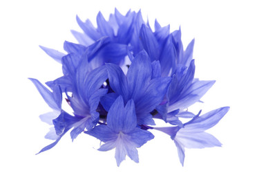 Similar image 328711