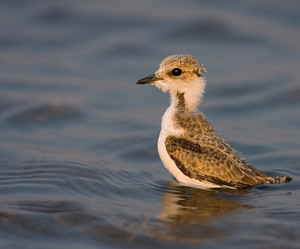 Similar image 328827