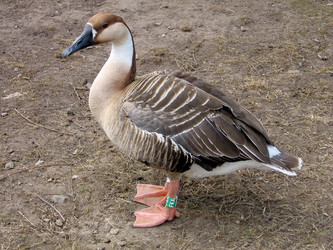 Similar image 328914