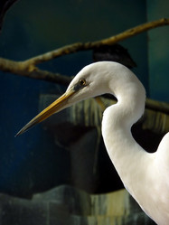 Similar image 328918