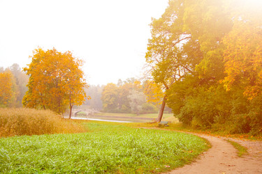 Similar image 328966