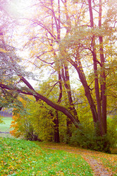 Similar image 328972