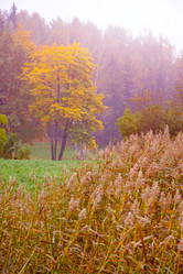 Similar image 328974