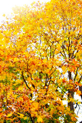 Similar image 328976