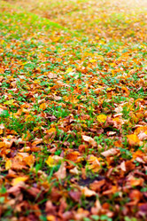 Similar image 328981