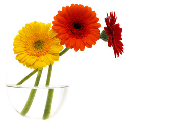 Similar image 329006