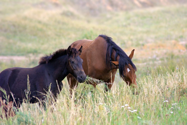 Similar image 329061