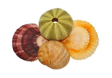 Similar image 329069