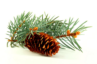 Similar image 329079