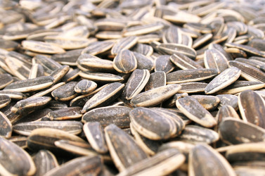 Similar image 329173