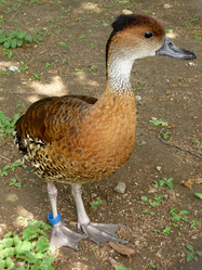 Similar image 329192