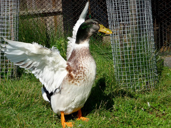 Similar image 329214