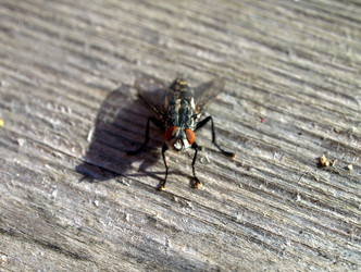 Similar image 329406