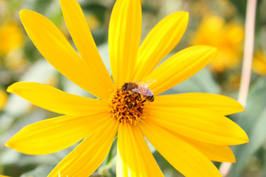 Similar image 329554