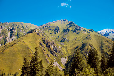 Similar image 329563