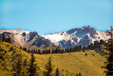 Similar image 329580