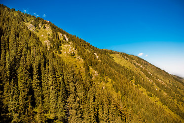 Similar image 329581