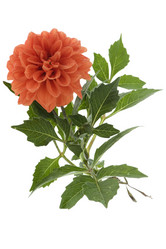 Similar image 329587