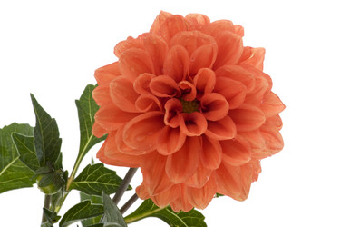 Similar image 329590