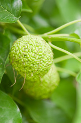 Similar image 329666