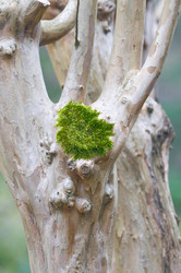 Similar image 329668