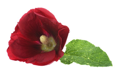 Similar image 329669