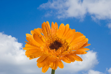 Similar image 329681