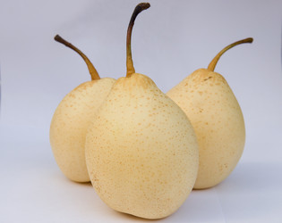 Similar image 329759