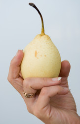 Similar image 329760