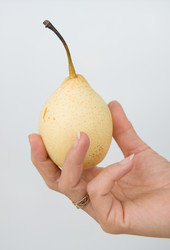 Similar image 329761