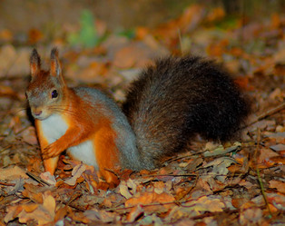 Similar image 329764