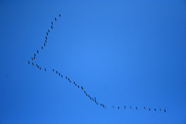 Similar image 329811