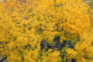 Similar image 329832