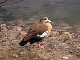 Similar image 329848