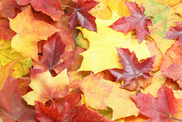 Similar image 329869