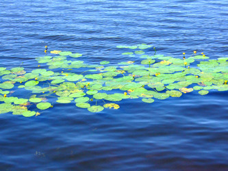 Similar image 329882